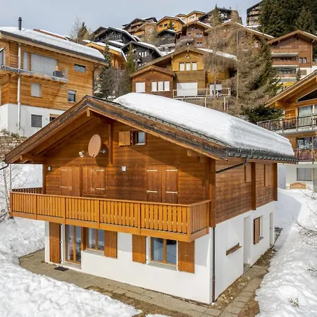 Steinbock Eg Bettmeralp